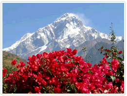 Ghorepani Trek
