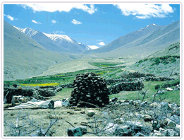 Ladakh Trek